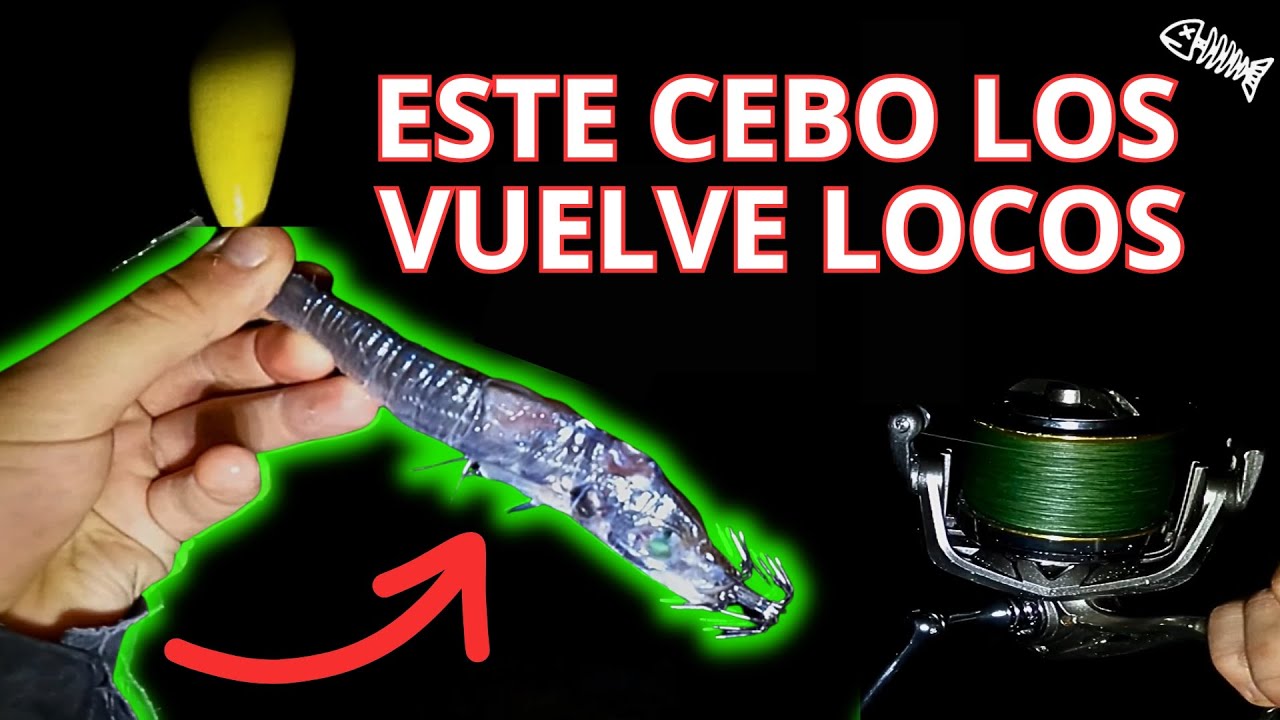 La 𝗕𝗢𝗬𝗔 es la 𝗣*𝗟𝗟𝗔 para 𝗣𝗘𝗦𝗖𝗔𝗥 𝗖𝗔𝗟𝗔𝗠𝗔𝗥𝗘𝗦!!! 𝗝𝗨𝗥𝗘𝗟 𝘃𝘀 𝗘𝗚𝗜𝗦