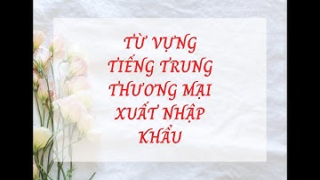 2 phút học từ vựng tiếng Trung xuất nhập khẩu CẤP TỐC - XLIFEJSC.COM
