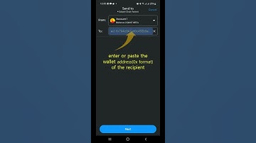 Satoshi BTCs - How to use Testnet (+3k)