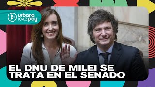 DNU de Milei se trata en el Senado y hay tensión entre el Presidente y Villarruel #TodoPasa