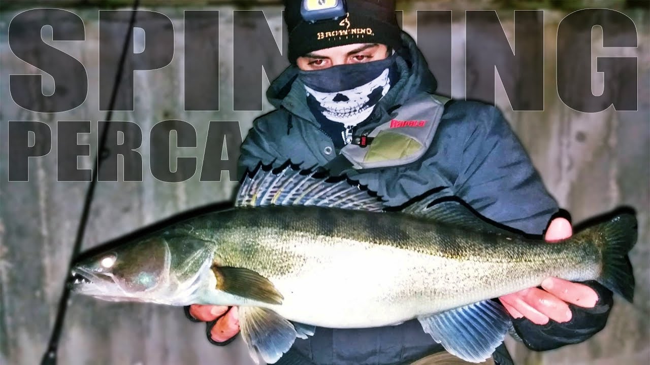 Pesca a Spinning ai GRANDI LUCIOPERCA Come Pescarli Consigli e Attrezzatura YouTube Pesca a Spinning ai GRANDI LUCIOPERCA Come Pescarli Consigli e Attrezzatura YouTube