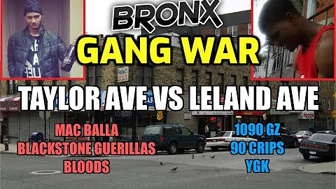 Bronx Gang War - Taylor Avenue Vs Leland Avenue