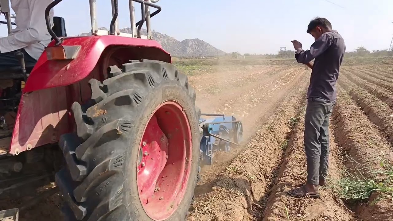 બટાકા સિઝન 🥔🥔