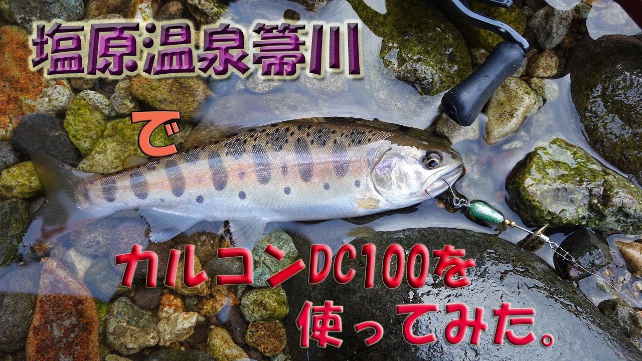 塩原温泉箒川でカルカッタコンクエストdc100を使ってみた 緊急時の針外し法 自己責任で Youtube