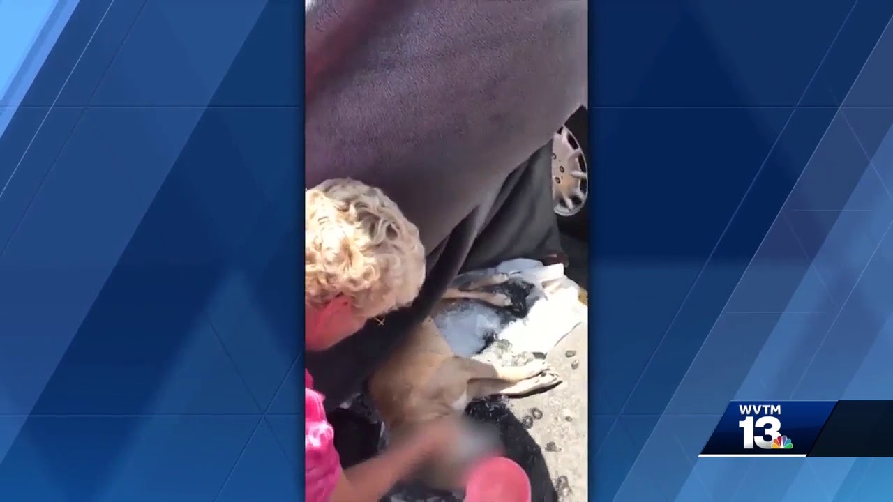 Woman speaks out after being charged in dog's hot car death - YouTube