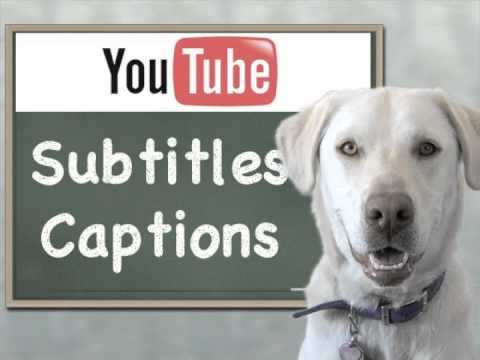 youtube captions extractor youtube captions extractor