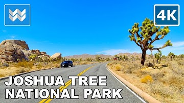 [4K] Scenic Drive: Joshua Tree National Park in California USA - Virtual Driving Tour