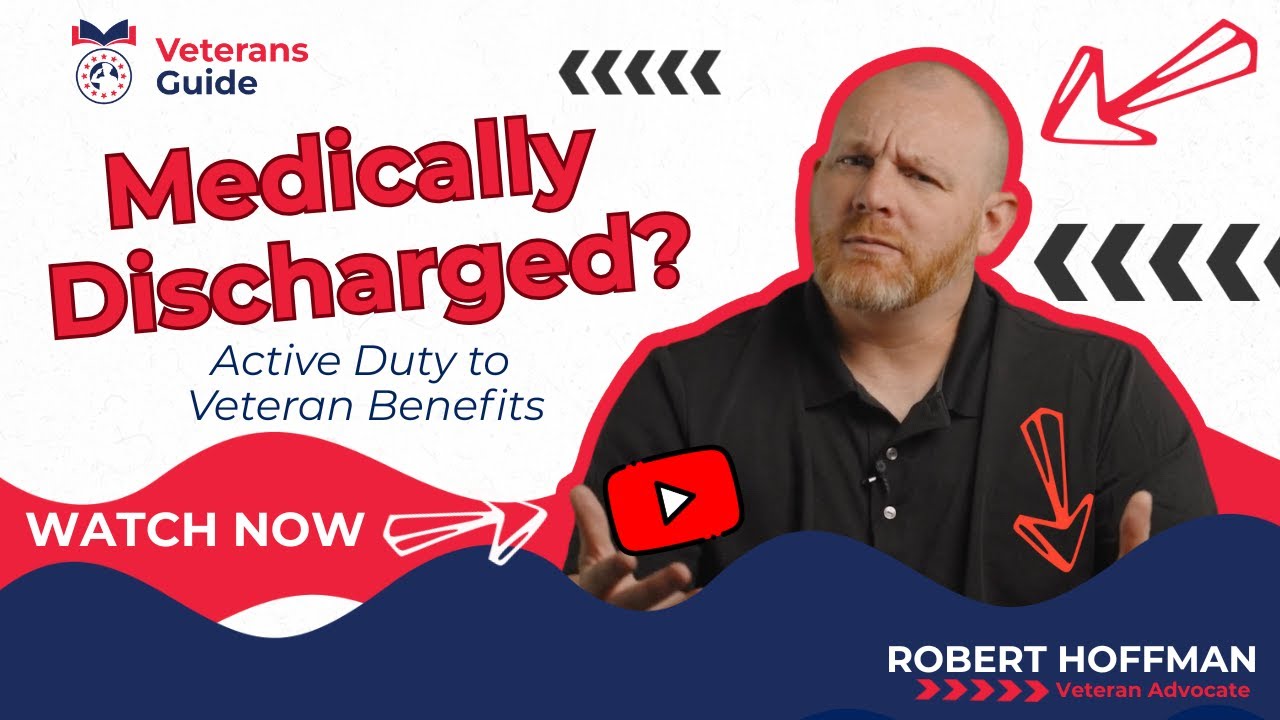 GET BACK THE DISCHARGED ARROW】VA LP 【公式通販】