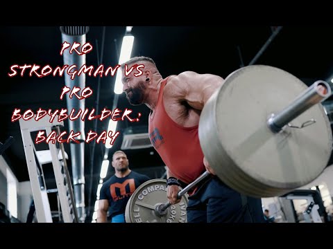 LUKE SANDOE vs TERRY HOLLANDS 2019