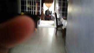 Hes Atacking Me Pelaste Help