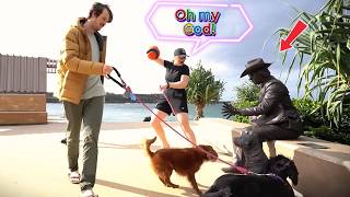 Celebrity She Noticed Something Weird 😳 Cowboy Prank! 😂 Net Worth