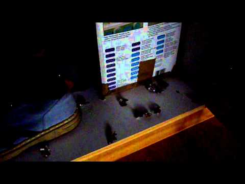 Sphynx cat Noong entdeckt Khun Ling im Schrank- Unearthly wardrobe noises Nr.62