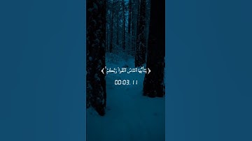 تلاوة عذبة ومؤثرة من القرآن الكريم | اكتب شيء تؤجر عليه