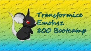 Transformice - Emohsz 800 Bootcamp
