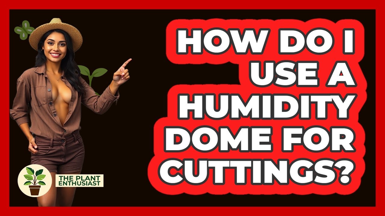 How Do I Use a Humidity Dome for Cuttings?