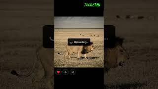 Turn Your Photos into Stunning Videos with Grok App | #AI #Video #Creation #viral #grok