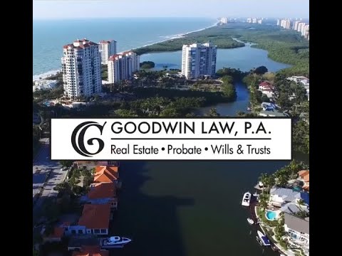 Goodwin Law Open House Party highlights