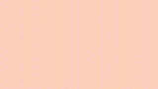 Peach Screen Light — Healthy Glow (No Music) | Virtual Ring Light for Camera & Makeup screenshot 3