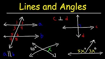 Parallel and Perpendicular Lines, Transversals, Alternate Interior Angles, Alternate Exterior Angles