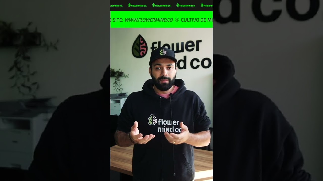 O Kit Nutrição Flowermind não dá overfert 