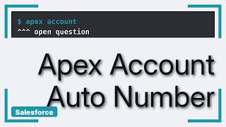 Salesforce: Auto Increment Number Based on Another Field (2 Solutions!!)