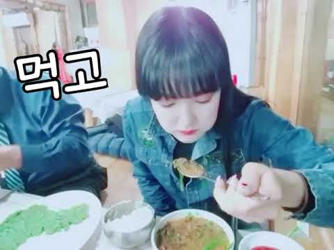 풍뎅이 ‘파랑’ 가족과 함께 [드라이브 & 먹방] 영상