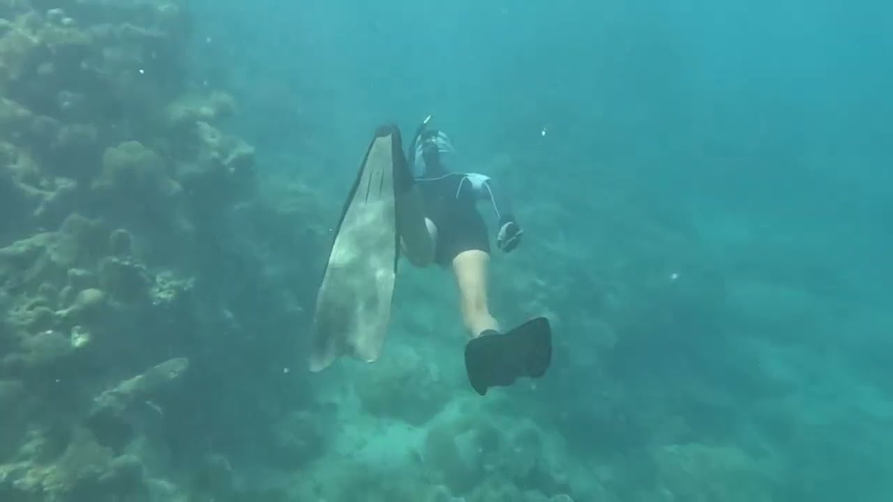 The Coral Garden Mission - Fiji
