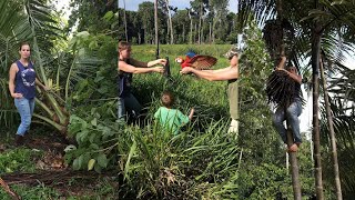 Challenges of homesteading in tha Amazon jungle 