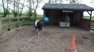 Melissa Gaat Een Stukje Vloggen ? Naar Mijn Verzorgpaarden