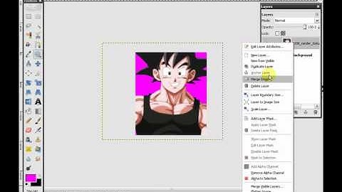 [QuickTutorial]How To Create M.U.G.E.N Portraits