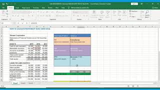 HOW TO CALCULATE PROFITABILITY RATIO (ROI,ROE,NPM)