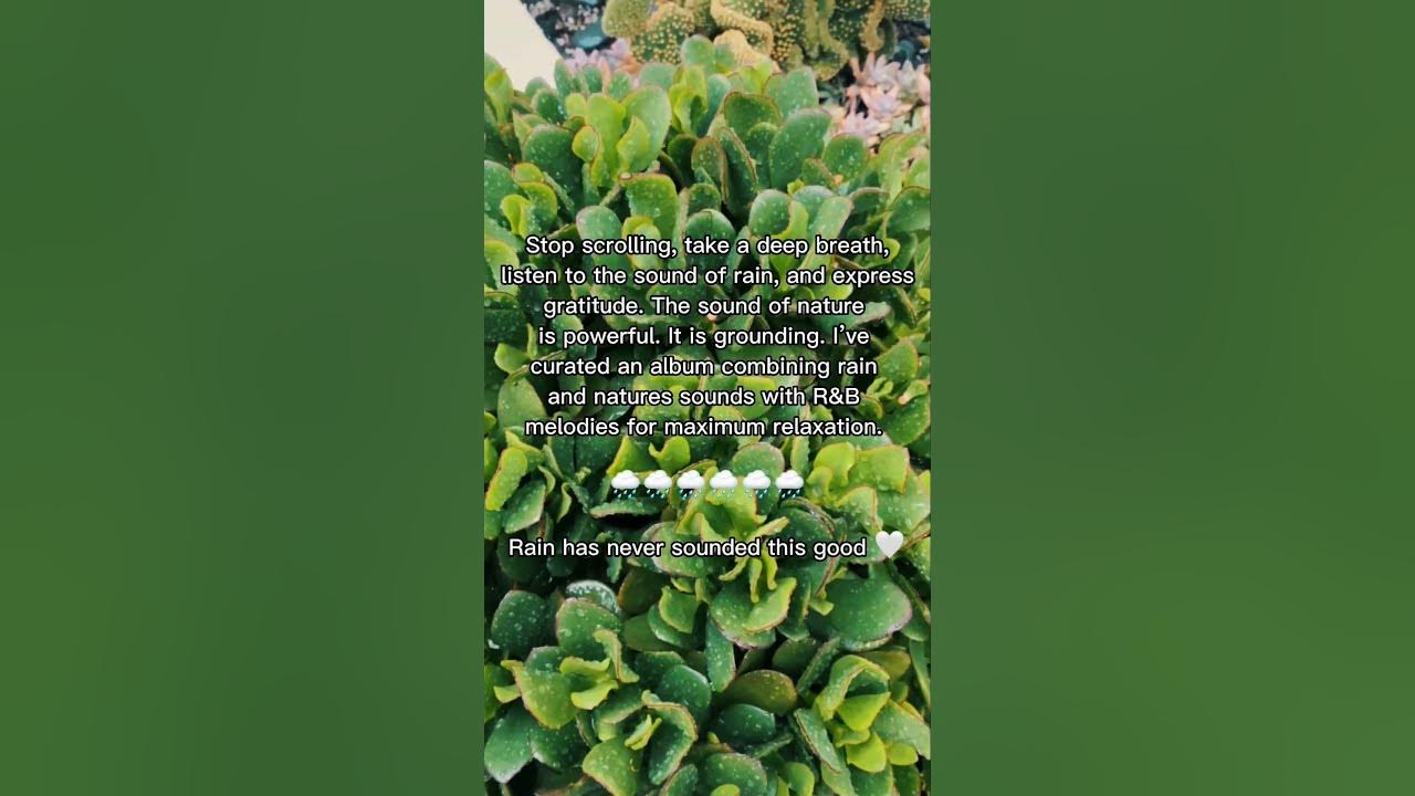 Relaxing Rain & Nature Sounds with Green Noise 🌧️