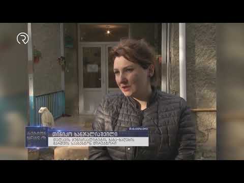 ბუშეტის საბავშვო ბაღში ბავშვები მოიწამლნენ