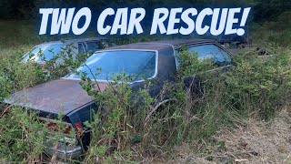 ABANDONED 1979 Caprice Classic RESCUE! Buy one get one FREE!