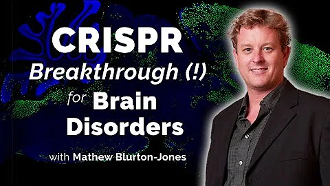 Examining the Therapeutic Potential of Stem Cell Derived Microglia