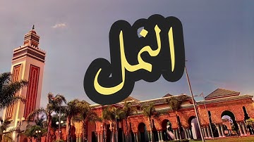 27 سورة النمل القارئ مصطفى غربي القرآن الكريم ورش عن نافع