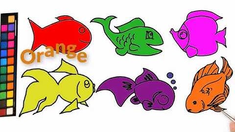 Vẽ và tô màu con cá | Bé học tiếng anh |Draw and color the fish