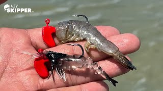 How Smart Are Fish? Fake Shrimp Vs Real Shrimp Budget Fishing Gear From Temu