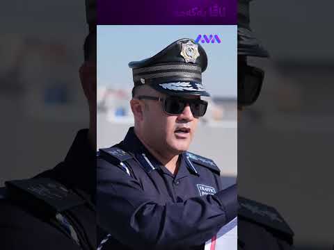 بۆ ئەوانەی حەزیان لێیە ئیجازەی سایەقی گەڵابە و ترێلە دەربێنن