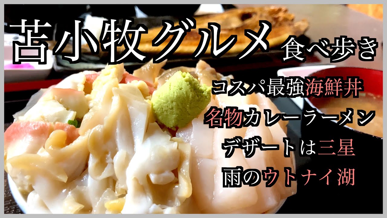 【苫小牧ご当地グルメ食べ歩き】美味しい海鮮丼を安く食べて自然も堪能できる場所/魚金食堂/ぷらっとみなと市場/ウトナイ湖/三星/味の大王(カレーラーメン) #北海道 #北海道旅行