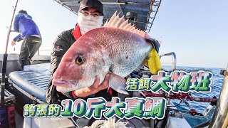 【台客去船釣】西海岸外海鐵板活餌生餌大亂鬥到底是鐵板強還是肉餌強呢feat.穩勝166娛樂海釣船新竹宏海釣具