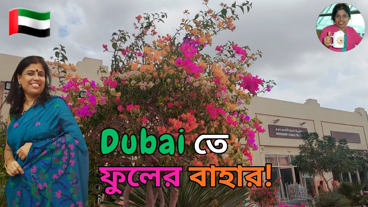 🇦🇪 Dubai তে ফুলের বাহার!