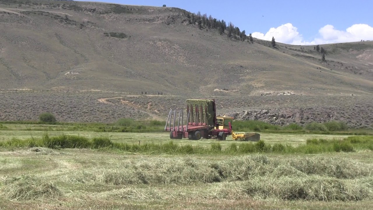Haying the field - YouTube