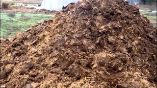 Cómo hacer abono orgánico o compost en casa en pocos pasos - Arpasa