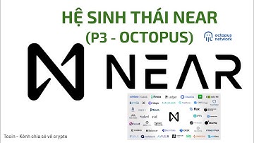 #T89 - Hệ sinh thái Near (P3) - Octopus Network - OCT - Nền tảng quan trọng phát triển web 3.0