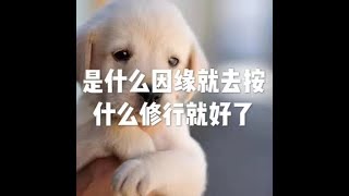 201801 是什么因缘就去按什么修行就好了23071