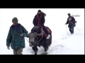 SNOW LEOPARD EXPEDITIONS - SPITI VALLEY - VBLOG14(SPITI UNITED)