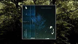 Eternal Downfall - III