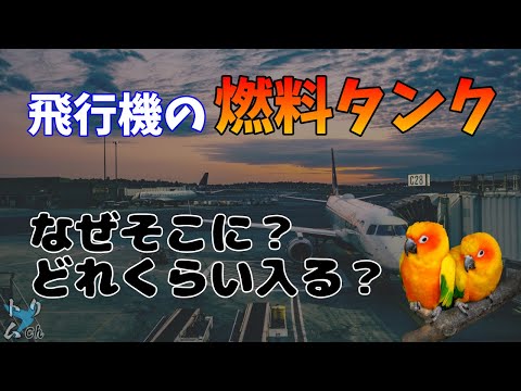 飛行機の燃料タンクはどこにある？どれくらいの量が入る？