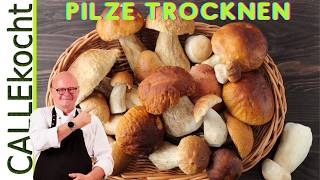 Pilze Putzen & Trocknen Für Vollen Pilzgenuss Das Ganze Jahr